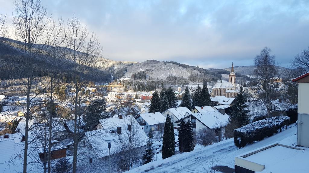 Hochschwarzwald Ferienwohnung Titisee-Neustadt Zewnętrze zdjęcie