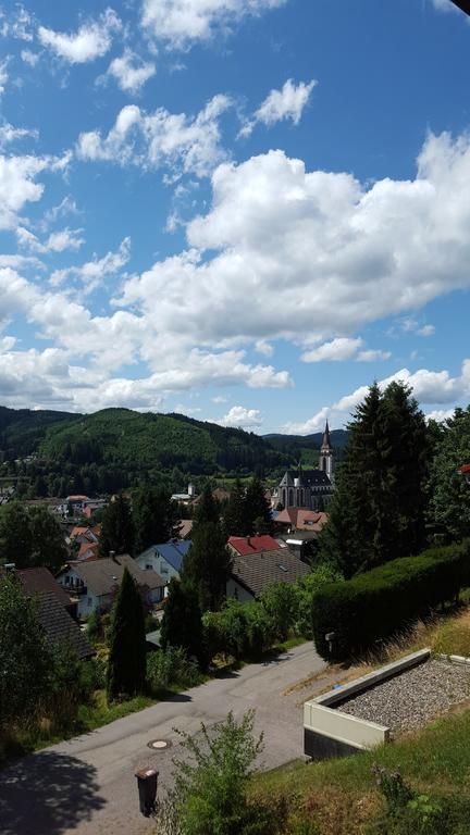 Hochschwarzwald Ferienwohnung Titisee-Neustadt Zewnętrze zdjęcie